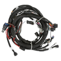 Holley EFI Engine Control Module (ECM) Wiring Harness PN. 558-129