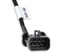 Holley EFI 558-131 Terminator X Sub-Harness