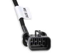 Holley EFI 558-131 Terminator X Sub-Harness