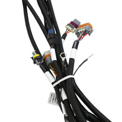 Holley EFI 1900 Car Ford Ford Godzilla (415, 445) Fuel Injection Harness PN. 558-141