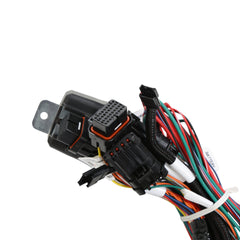 Holley EFI 1900 Car Ford Ford Godzilla (415, 445) Fuel Injection Harness PN. 558-141