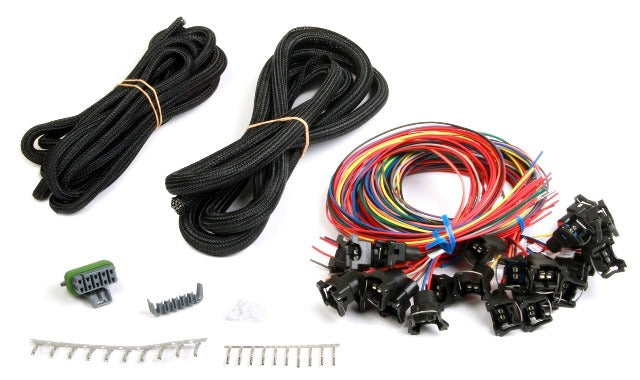 Holley EFI 558-208 UNTERMINATED 24 INJ HARNESS