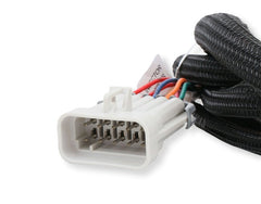 Holley EFI 558-219 HARNESS, INJECTOR DRIVER MODULE