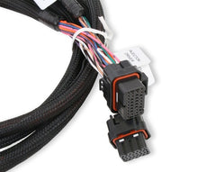 Holley EFI 558-219 HARNESS, INJECTOR DRIVER MODULE