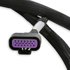 Holley EFI Fuel Injection Harness PN. 558-220