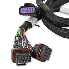 Holley EFI Fuel Injection Harness PN. 558-221