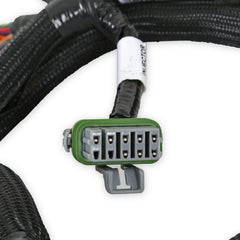 Holley EFI Fuel Injection Harness PN. 558-221