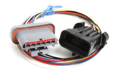 Holley EFI 558-305 FORD TFI IGN HARNESS