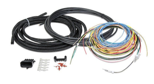 Holley EFI 558-306 UNIV UNTERMINATED IGN HARNESS