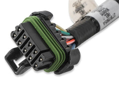 Holley EFI 558-322 COIL HARNESS, FORD COYOTE (2015.5+)