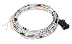 Holley EFI 558-400 J1 A/B I/O CONNECTOR HP and DOM