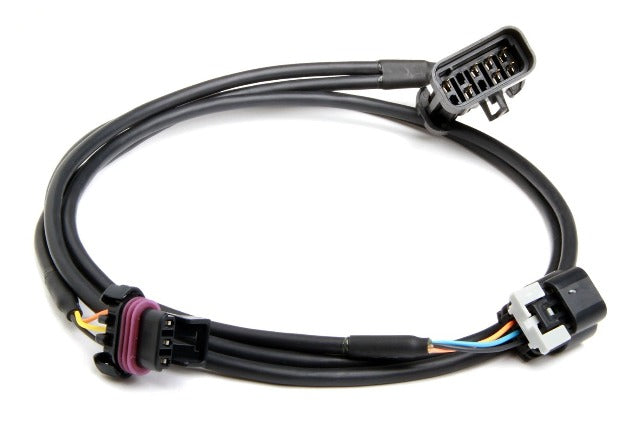 Holley EFI 558-410 CRANK/CAM HARNESS