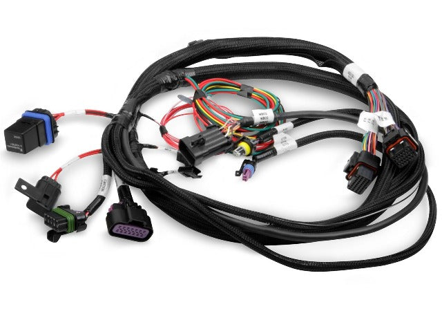 Holley EFI 558-414 HARNESS, TERMINATOR MAIN