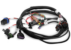 Holley EFI 558-414 HARNESS, TERMINATOR MAIN