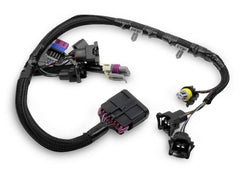 Holley EFI 558-415 SUB-HARNESS, TERMINATOR