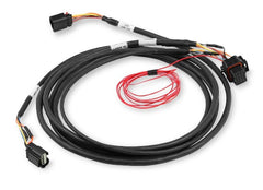 Holley EFI 558-422 DBW HARNESS, FORD COYOTE