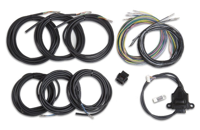 Holley EFI 558-433 KIT, I/O ADAPTER WITH UNTERMINATED VEHIC