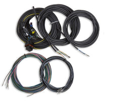 Holley EFI 558-436 TERMINATED VEHICLE HARNESS, DIGITAL DASH