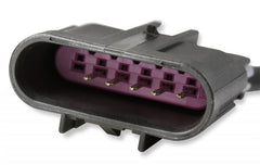 Holley EFI 558-442 STEALTH TERMINATOR 2X4 SUB HARNESS