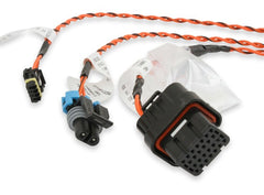Holley EFI 558-447 Racepak CAN Adapter Kit