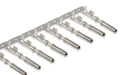 Holley EFI 558-448 LOOSE J1A-J1B CONNECTOR AND PIN KIT