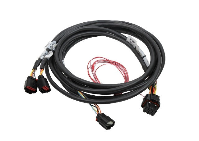 Holley EFI 558-450 HEMI DUAL DBW HARNESS, 2013+ APPLICATION