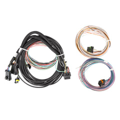 Holley EFI Display Wiring Harness PN. 558-457