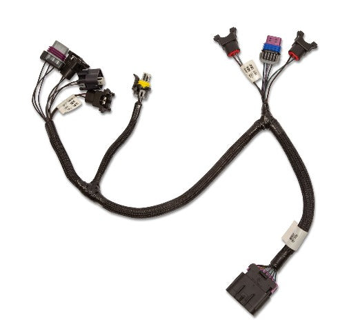 Holley EFI 558-459 TERMINATOR STEALTH SERVICE HARNESS