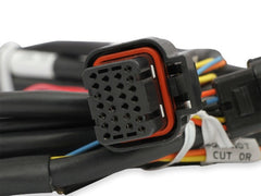 Holley EFI 558-461 DBW HARNESS, FORD 3V AND GT500