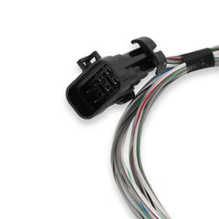 Holley EFI Engine Control Module (ECM) Wiring Harness PN. 558-462
