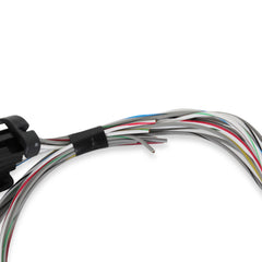 Holley EFI Engine Control Module (ECM) Wiring Harness PN. 558-462