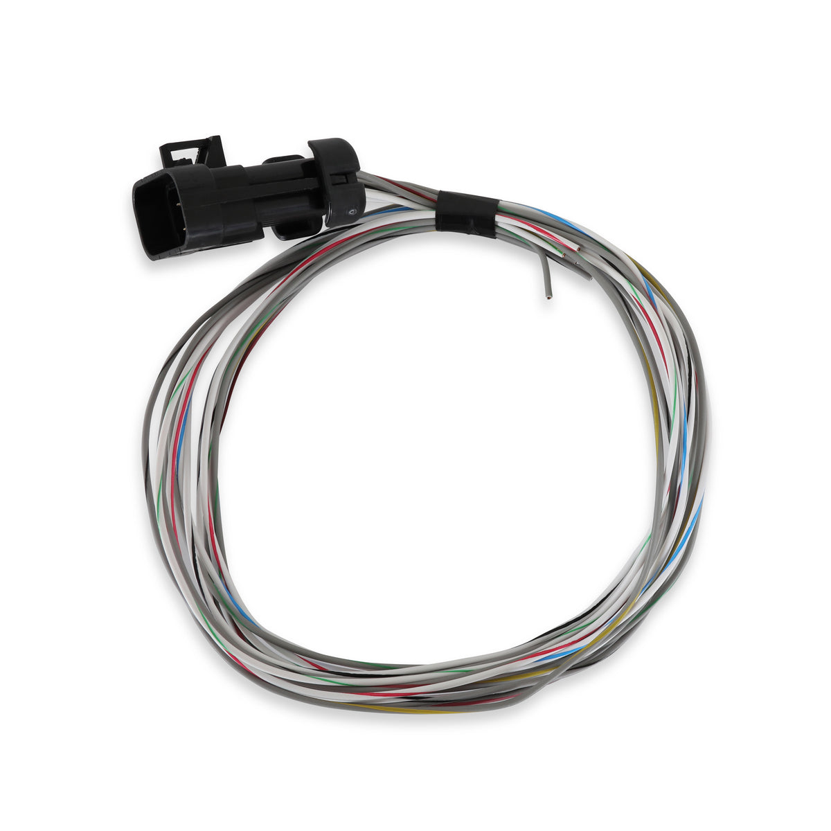 Holley EFI Engine Control Module (ECM) Wiring Harness PN. 558-462