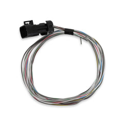 Holley EFI Engine Control Module (ECM) Wiring Harness PN. 558-462
