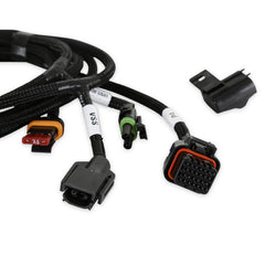 Holley EFI Manual Transmission Wiring Harness PN. 558-480