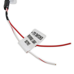 Holley EFI Manual Transmission Wiring Harness PN. 558-481