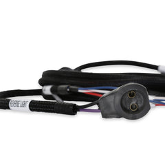 Holley EFI Manual Transmission Wiring Harness PN. 558-482