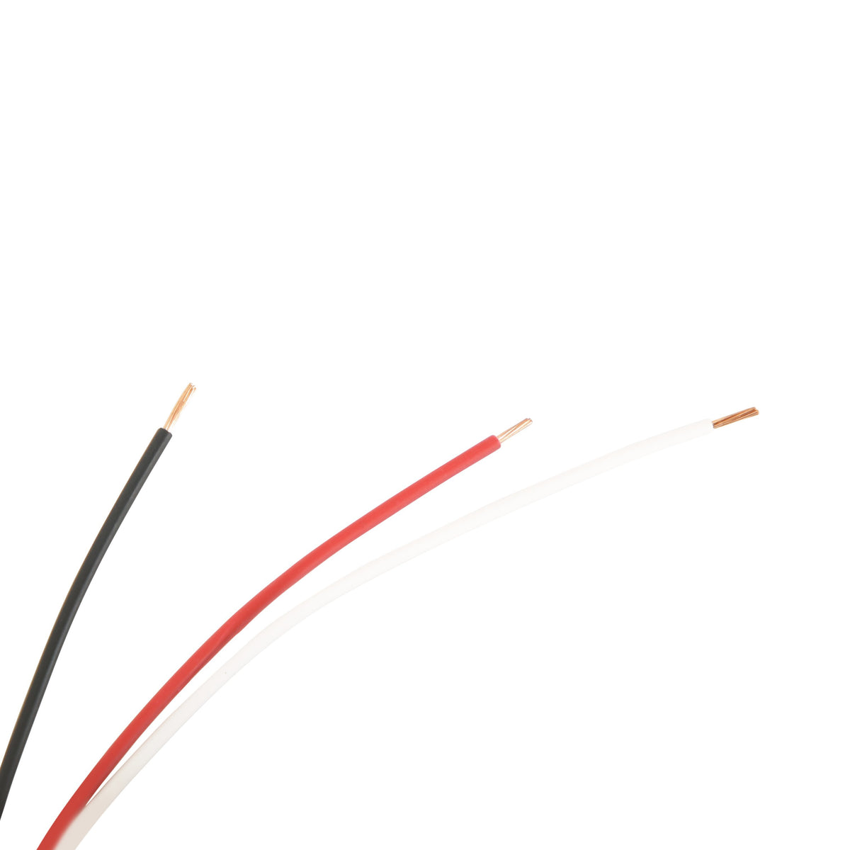 Holley EFI Gauge Wiring Harness PN. 558-486