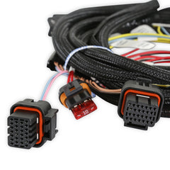 Holley EFI Automatic Transmission Wiring Harness PN. 558-499