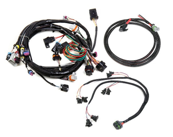 Holley EFI 558-500 HARNESS KIT, LS1/6, 24X, BOSCH/JETRONIC