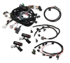 Holley EFI 558-506 HARNESS KIT, FORD MODULAR 4V