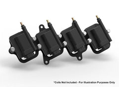 Holley EFI 561-131 HOLLEY SMARTCOIL REMOTE RELOCATION BRACK