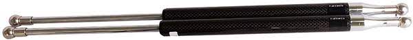 NRG Innovations Hood Damper Kit Carbon Fiber HD-100CF