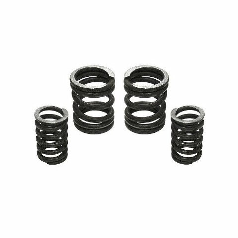 Industrial Injection 5000 RPM Governor Spring Kit 5000GSK 232702