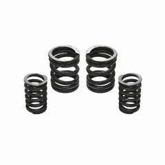 Industrial Injection 5000 RPM Governor Spring Kit 5000GSK 232702