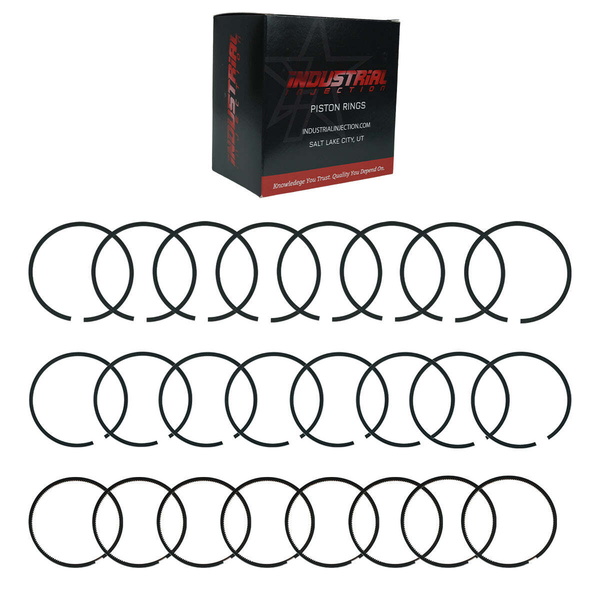 Industrial Injection 2011-2019 6.7L Power Stroke X-Series Piston Ring Kit (.020) 345114