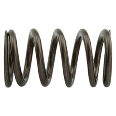 Industrial Injection 1998.5-2018 Cummins 24 Valve 95 LB Upgraded Valve Springs PDM-160-1484S-24