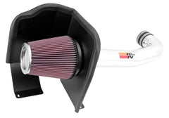 K&N 77-3082KP Performance Air Intake System