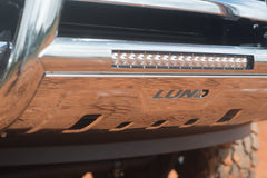 LUND 47021215 Bull Bar with Light and Wiring Stainless Steel BULL BAR W-LIGHT and WIRING-SS
