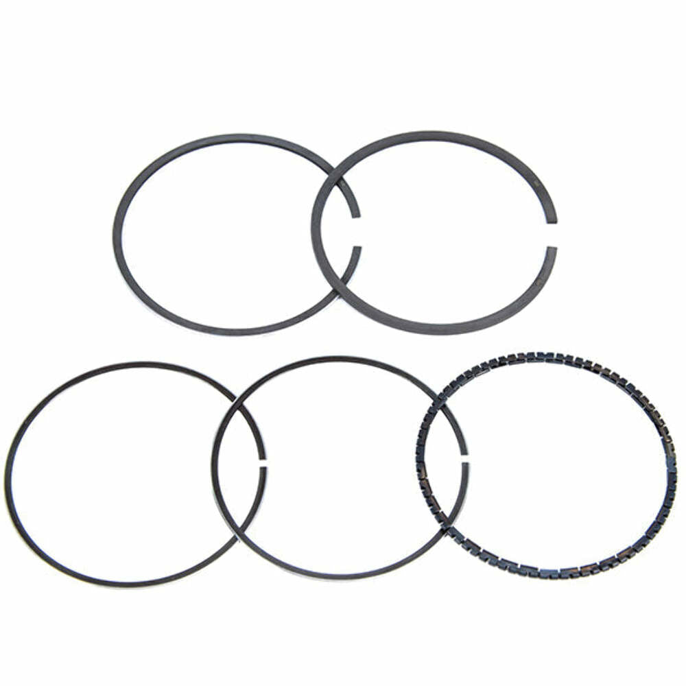 MAHLE SLEEVE ASSEMBLY RING SET 00249N0