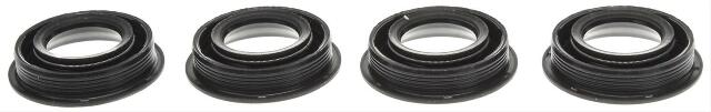 MAHLE Spark Plug Tube Seal Set GS33698